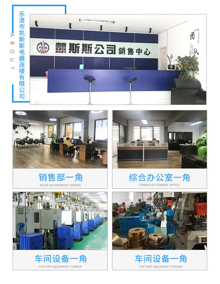 凯斯斯扎带_10
