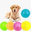 Brinquedo para animal de estimação Amazon brinquedo sonoro TPR bola para cachorro resistente à mordida elástica bola espetada tamanho médio e grande fábrica de brinquedos para cachorro