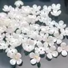 Mini concha imitação pérola imitação pérola flor material DIY acessórios de joia acessórios de cabelo grampo de cabelo pingente pulseira material