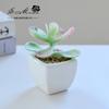 Suculenta Pequeño Bonsái Cerámica Muebles para el Hogar Decoración Fabricante de Jinhua Plantas Verdes Aliexpress Flor Artificial Plantas en Maceta