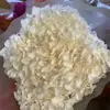 Flor Eterna Folha Pequena Hortênsia Anna Flor Seca Flor Real Estilo Escandinavo Props para Fotos Ins Buquê de Casamento Pronto Decoração