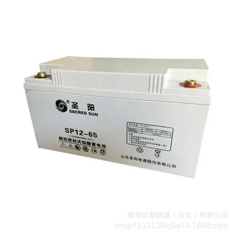 SP 12V65AH1.webp.jpg