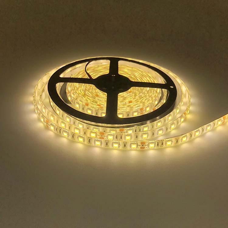 24V 5050  IP65 60LED WW (5)