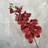 Decoración de Mesa Escandinava de Falenopsis de 9 Cabezas Impresa en 3D Película Floral de Boda Flor Artificial de Falenopsis Accesorios para Fotografía