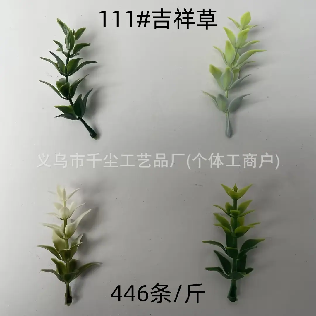 111#吉祥草.jpg
