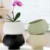 Maceta de cerámica de una pieza para el cabello, extragrande, ligera, de lujo, estilo Ins, de alta calidad, para el hogar, con flores carnosas de Phalaenopsis.