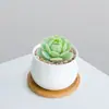 Combinación de Plantas Suculentas Pequeñas en Maceta para Interiores Suculentas Fáciles de Cuidar Plantas Verdes de Escritorio Flores con Maceta Paquete para Principiantes