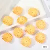 Diadema creativa de pétalos de crisantemo comprimidos para manualidades, material de decoración de boda, flor artificial, flor falsa, pasador para ropa, accesorios de flor