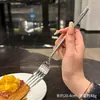 [Primer Alemán] [Acero Inoxidable 316] [Experiencia] Tenedor Principal para Comida Occidental Helmer Tenedor para Bistec