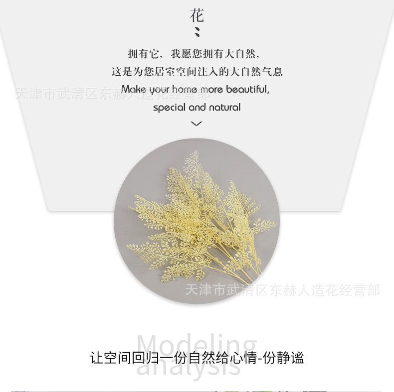 详情_05.jpg