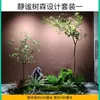 Simulación caballo borracho ventana de madera paisajismo planta interior planta verde biónica de alta gama árbol decorativo árbol falso grande paisaje simple