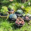 Atacado de Fábrica Vaso de Flores Simples para Suculentas Vaso Criativo para Plantas Suculentas Mini Vaso para Bonsai de Plástico Resistente a Quedas e Quebras