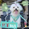 Arnés Chaleco para Perro, Estilo Chaleco para Perros Pequeños como Teddy, Bichón, Pomerania, Arnés de Pecho para Cachorros, Cadena para Perro Mascota, Correa para Pasear Perros
