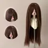 Peluca para Muñeca BJD, Cabello Largo Recto Suave Tipo Seda con Flequillo Largo, Cabello Personalizable para Muñecas de 346 Puntos, Accesorio para Vestir