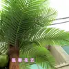 Árvore de Coco Simulada Árvore de Coco Falsa Grande Cenário para Shopping Center Palmeira Tropical Haste Curva Preservada Exibição Árvore Falsa Árvore de Coco