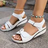 Sandalias Casuales Populares Transfronterizas Europeas y Americanas para Mujer, Tallas Grandes, Zapatos de Velcro Amazon, Estilo Nuevo, Venta al por Mayor Tallas Grandes