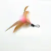 Brinquedo de Gato Quente Transfronteiriço Suprimentos para Animais de Estimação Fio de Aço de Mola Rosa Vara para Gato Cabeça de Reposição para Gato Venda por Atacado