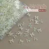 Paquete Completo de Accesorios Mixtos para Uñas al por Mayor Mini Camelia de Colores Grande y Pequeño Brillo Fino Corazón Accesorios de Resina para Uñas