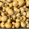 Calabazas Suaves Bellamente Elaboradas para Manipular y Coleccionar, Calabazas de Piel Morada con Pátina, Calabazas Retorcidas a Mano, Artículos de Mano, Calabazas para Vendedores Ambulantes al por Mayor