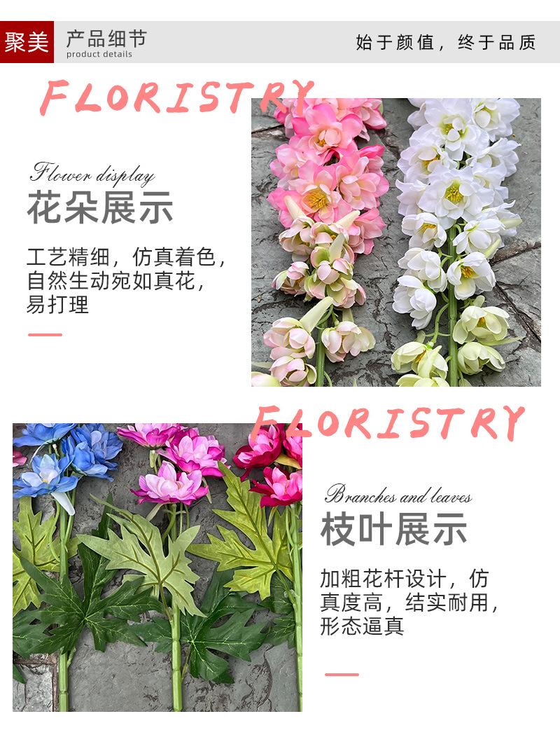 聚美-肯尼亚大飞燕草-详情_04.jpg