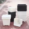 Maceta Gruesa de Plástico para Suculentas Maceta de Resina para Grupo de Sedum Cactus Maceta Combinada Maceta Cuadrada Pequeña Negra y Blanca Envío Gratis