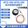Hangzhou Fuyang WTZWTQ-280 termômetro de pressão de mostrador pequeno Y100 máquina de esterilização instantânea de temperatura