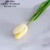 Estrellas Bailarinas Tulipán Flores Artificiales Fabricante Decoración del Hogar Boda Venta al por Mayor Flores Falsas Estilo Ins Transfronterizo