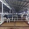 Cama especial para gado, espessada, galvanizada a quente, espaçador, porta, acessórios para cerca de dormir para gado, cerca de limite para gado, isolamento de gado