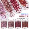 Lantejoulas glitter para unhas pó glitter gradiente conjunto azul roxo 123mm misturado esmalte de unha joias material epóxi