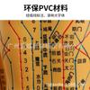 Modelo do Corpo Humano com Pontos de Acupuntura, Diagrama dos Doze Meridianos da Medicina Tradicional Chinesa do Corpo Inteiro, Modelo de Manequim de Cobre para Prática de Acupuntura, Pequeno Manequim de Pele