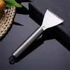 Faca removedora de escamas de peixe em aço inoxidável com gancho para uso doméstico e na cozinha. Utensílio pequeno para descamar peixes manualmente.