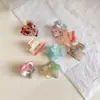 Grampo de Cabelo Estrela de Ácido Acético, Presilha Doce e Versátil para Franja, Grampo de Cabelo para Cabelo Quebrado de Menina, Grampo de Cabelo, Pequeno Grampo de Cabelo, Grampo de Cabelo Infantil
