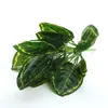 Pared vegetal fondo de planta verde materiales para arreglos florales flores artificiales potos sala de estar plantas pequeñas en maceta hojas decorativas hojas de Monstera