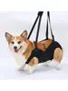 Arnés de Soporte para Levantar Perros Cinturón Asistencial de Cuerpo Completo para Perros Ancianos Lesionados o Discapacitados, Ayuda para Levantar para Escaleras Recuperación, Correa de Tracción para Perros Asistente para Escaleras con Diseño de Mano, Mochila Arnés para Levantar Perros, Soporte Portador para Recuperación, Bolsa de Elevación para Rehabilitación de Mascotas Correas Ajustables Retráctiles Transpirables, Adecuado para Ancianos, Discapacitados, Perros, Asistencia para la Movilidad de Mascotas Ancianas Ajustable, para Perros Ancianos, Caminar, Subir Escaleras, Aseo, Compatible con Sillas de Ruedas/Andadores, Asistencia para Patas Traseras, Antideslizante, Seguro, Dispositivo para Caminar Fácil.