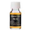 Oferta Especial Líquido Refil de Perfume para Carro 10ml para Remover Odores, Aditivo de Óleo Essencial para Fragrância de Interior de Carro