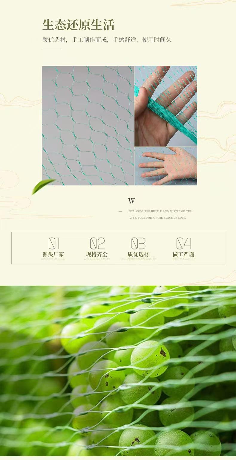 微信图片_20241015104024.jpg