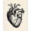 AliExpress Cartaz de Anatomia Humana Personalizado Núcleo de Lona Pintada com Spray Versão em Inglês Musculoesquelético Educação Médica Pintura Decorativa