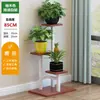 Prateleira de Flores Sala de Estar Ferro Varanda Escalonada Suporte de Flores Suculentas Vasos de Flores Suporte de Armazenamento de Chão Multi-Camadas Interno
