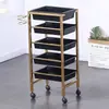 Carrito de Herramientas de Peluquería Carrito de Herramientas para Salón Carrito de Belleza Carro de Mano Carrito de Cinco Niveles para Barbería