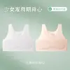 Ropa interior de material ligero para niñas en período de desarrollo, edades 8-14, Niños de primaria, Camisola de primera etapa para niñas