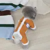 Roupas para Animais de Estimação para Cães Pequenos Como Teddy e Lulu da Pomerânia, Roupas para Gatos para Outono e Inverno com Fixação para Guia, Casaco de Algodão de Quatro Patas com Costura Dupla