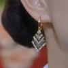 Elegantes Aretes Super Brillantes de Diamante Completo, Diamante Blanco y Negro, Doble Capa, Lujo Exquisito, Lujo Ligero, Alta Gama, Combinables con Todo, Aretes Personalizados