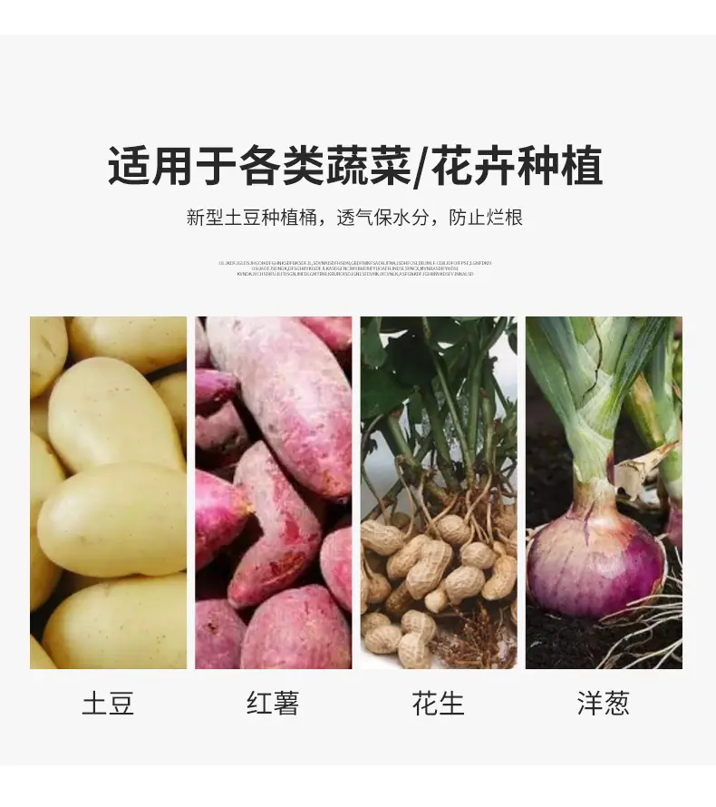 土豆桶_03.jpg