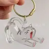 Pingente de Pelo de Animal de Estimação Pelo de Cachorrinho Fofo Caixa de Armazenamento Transparente Formato de Gato e Cachorro Pingente Criativo Chaveiro