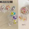 Material de Flores Secas Lentejuela Joyería para Uñas Celebridad de Internet Color Verano Caliente Flor Ópalo Polvo Material Bolsa Accesorios para Uñas