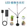 Lâmpada de Crescimento de Plantas LED Luz de Preenchimento de Mesa Espectro Completo Lâmpada com Clipe Temporizada Colorir Suculentas Luz de Preenchimento para Vegetais e Frutas