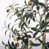 Temu Transfronteiriço Especializado em Plantas Verdes Simuladas, Plantas de Oliveira em Vasos, Sala de Estar Doméstica, Árvores Decorativas Falsas Grandes para Interior, Árvores Simuladas