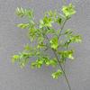 Flores Artificiais e Plantas Verdes para Casamento, Flores de Plástico, Arranjos de Plantas Verdes, Grama Verde Decorativa, Picos de Bambu, Arranjos Florais de Chão para Casamento, Folhas de Teto
