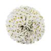 Exportação Europeia e Americana Pet Flor de Papel Rosa Dourado Bola de Flor Decoração de Festa de Casamento Dia dos Namorados Festa Temática Decoração DIY Flor Pendurada