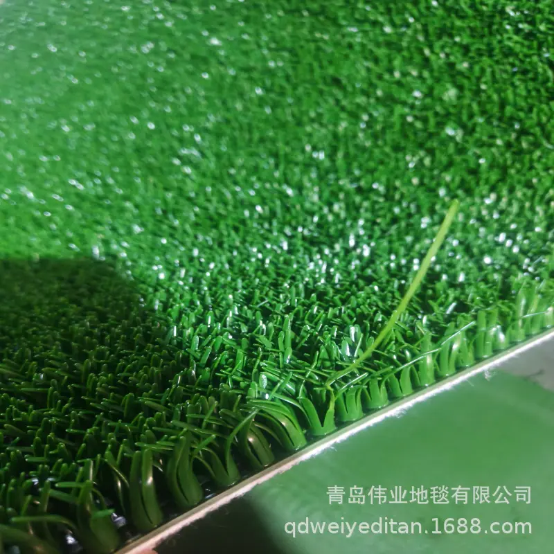 IMG20260101155115.jpg
